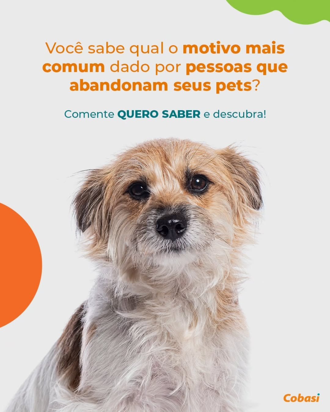 Antes — imagem do cliente 2